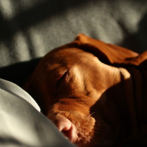 This is one of my proffesioinal photos I took